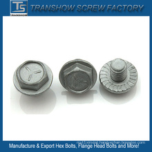 5/16X3/4 Inch Galvanized Hex Flange Screw